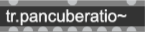 rnbo01_s.png
