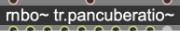 rnbo04_s.png